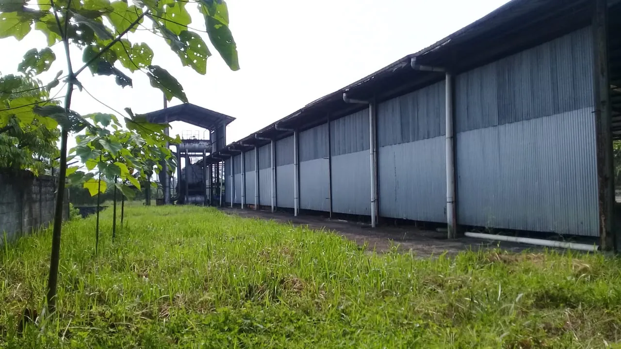 Cikembar 原胶合板厂主厂房外立面，坐北朝南，金属外墙
