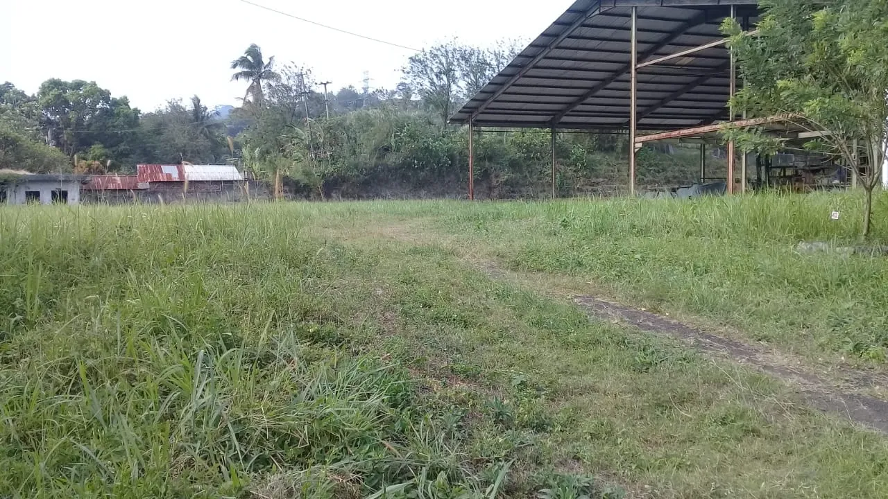 厂区开阔草地与钢结构雨棚建筑